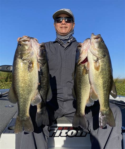 large mouth bass fishing report california|California Delta Fishing Report by Christian Ostrander.
